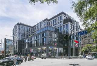 江蘇大型龍魚批發(fā)